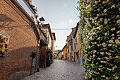 Gasse in der Altstadt von Barolo, Piemont, Italien