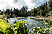  In a packraft on the Alz, Upper Bavaria, Bavaria, Germany 
