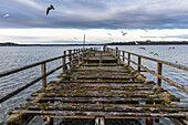  Old jetty with seagulls on Lake Chiemsee, Bavaria, Germany 