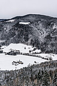Blick auf Einsiedl und zur Bäckeralm Lichtung am Teisenberg im Winterwald, Inzell, Chiemgauer Alpen, Oberbayern, Bayern, Deutschland