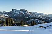 Skitour auf die Haaralm und Blick zur Hörndlwand im Winter, bei Ruhpolding, Chiemgauer Alpen, Oberbayern, Bayern, Deutschland