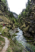 Wanderer in der Weißbachschlucht, an der Weißbach, bei Schneizlreuth, Inzell, Oberbayern, Bayern, Deutschland