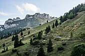 Blick auf die Felsgipfel an der Kampenwand von Norden, Chiemgauer Alpen, Aschau im Chiemgau, Oberbayern, Bayern, Deutschland