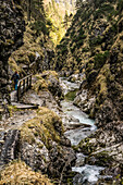  Hiker in the Weißbach Gorge, Schneizlreuth, Chiemgau Alps, Bavaria, Germany 