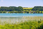  Mattsee with bathers, SUPs, and boats, Salzburger Land, Austria 
