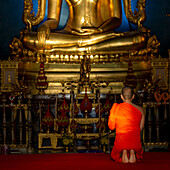  Monk meditating in front of Phra Buddha Chinnarat, Buddha statue with Bhumispara-mudra, Buddha Gautama at the moment of enlightenment, Wat Benchamabophit, also: Marble Temple, Dusit district, Bangkok, Thailand, Asia 