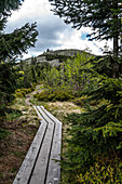 Hiking trail to Lusen, Bavarian Forest National Park, Mauth, Bavaria 