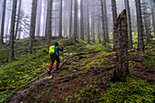 Wanderer im nebligen Wald in Gosau, bei Gmunden, Salzkammergut, Oberösterreich, Österreich