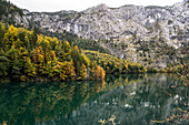 Hinterer Gosausee vor Felswand, Gosau, bei Gmunden, Salzkammergut, Oberösterreich, Österreich