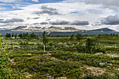 Blick zum Pårtetjåkkå (Partetjakka) Gipfel, Sarek Nationalpark, Norrbottens län, Nordschweden, Schweden, Skandinavien