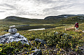  Hiking trail near Kilpisjärvi, Lapland, Finland 
