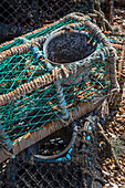 The Dungeness Snack Shack, fresh fish hut, Dungeness, Romney Marsh, Kent, England, UK