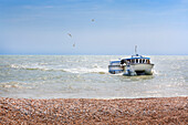 The Dungeness Snack Shack, fresh fish hut, Dungeness, Romney Marsh, Kent, England, UK