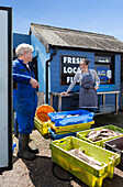 The Dungeness Snack Shack, fresh fish hut, Dungeness, Romney Marsh, Kent, England, UK