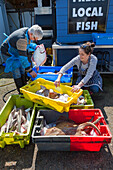 The Dungeness Snack Shack, fresh fish hut, Dungeness, Romney Marsh, Kent, England, UK