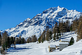  Snow-covered alpine huts with Piz Varuna in the background, Val da Camp, Livigno Alps, Graubünden, Switzerland 