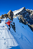  Woman on ski tour enters steep cirque, Felskarspitze, Niedere Tauern, Salzburg, Austria 