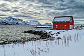  Red house in front of Bergsfjord, Senja, Troms, Norway 