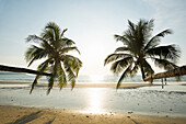 Schräge Kokospalme im Gegenlicht über dem Wasser,  Khlong Chao Beach, Haad Khlong Hin Beach, Koh Kood, Koh Kut, Golf von Thailand, Thailand