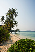  Sandy beach with coconut palms, Khlong Chao Beach, Haad Khlong Hin Beach, Koh Kood, Koh Kut, Gulf of Thailand, Thailand 