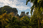  Jungle and rainforest and steep mountains, Khao Sok National Park, Phang Nga, Surat Thani, Thailand 