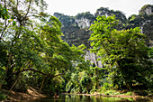  Jungle and rainforest and steep mountains, Khao Sok National Park, Phang Nga, Surat Thani, Thailand 