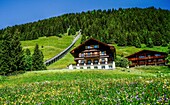  View over meadows with wildflowers to alpine houses and the Allmendhubel cable car, Mürren, Lauterbrunnen, Bernese Oberland, Switzerland 