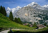  Hiking trail to Mürren with alpine meadows and alpine hut, Eiger, Mönch and Jungfrau in the background, Mürren, Lauterbrunnen, Bernese Oberland, Switzerland, 