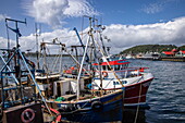  Fishing boats in Oban Harbour with the boutique cruise ship MV Lord of the Highlands (Thurgau Travel) at the pier in the distance, Oban, Scotland, Argyll and Bute Council, United Kingdom, Europe 
