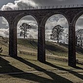  Trees stand between the arches of the Leaderfoot Viaduct on the River Tweed. 