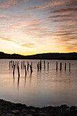  Evening atmosphere at the sea. The water is calm. Several wooden poles stand in the water. 