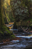  The narrow Devil&#39;s Pulpit gorge with its moss-covered walls and brown waterbed. The sun illuminates part of the walls. 