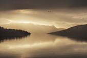 Goldene Morgenstimmung mit einer Wolkenlücke am Ufer See Loch Katrine. Die Wolken und Berge spiegeln sich im Wasser. Gänse fliegen, Schottland, Großbritannien