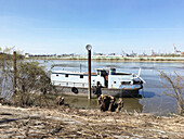  Boat at the Spreehafen in Hamburg-Veddel, Hamburg, Germany, Europe 
