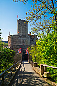  In front of the Ehrenburg, Hunsrück, Brodenbach, Rhineland-Palatinate, Germany 