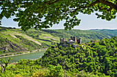 Above Oberwesel, Middle Rhine, Rhineland-Palatinate, Germany