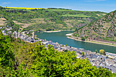  Above Oberwesel, Middle Rhine, Rhineland-Palatinate, Germany 