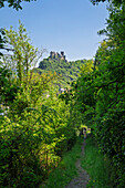  Hiking above Oberwesel, with Schönburg Castle in view, Middle Rhine, Rhineland-Palatinate, Germany 