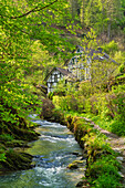  Idyllically situated mill in the Endert valley, Eifel, Rhineland-Palatinate, Germany 