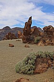 Nationalpark El Teide, Teneriffa, Kanarische Inseln, Spanien