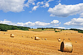 Strohballen auf einem abgeernteten Feld, Departement Allier, Region Auvergne-Rhône-Alpes, Frankreich, Europa