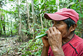 Man having made a siflet with leaves in the rainforest on Orinoco river bank, Bolivarian Republic of Venezuela, South America