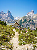 Langalm, Drei Zinnen, Auronzo di Cadore, Belluno, Venetien, Toblach, Bozen, Trentino, Südtirol, Italien, Sextner Dolomiten, Alpen, Dolomiten, Südeuropa, Europa