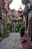  in Eguisheim, Alsace, France 