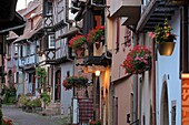  in Eguisheim, Alsace, France 