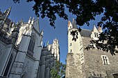  at the Cathedral, Nantes, Loire Valley, France 
