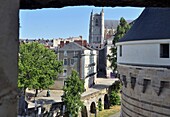  Cathedral seen from the Ducal Castle, Nantes, Loire Valley, France 