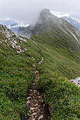 Pfad am Dalfazer Kamm, Rofangebirge, Tirol, Österreich