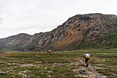 Wanderer auf dem Arctic Circle Trail im Nerumaq-Tal, Distrikt Sisimiut, Grönland