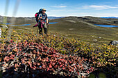 Wanderer auf dem Arctic Circle Trail bei Kellyville, Distrikt Sisimiut, Grönland
